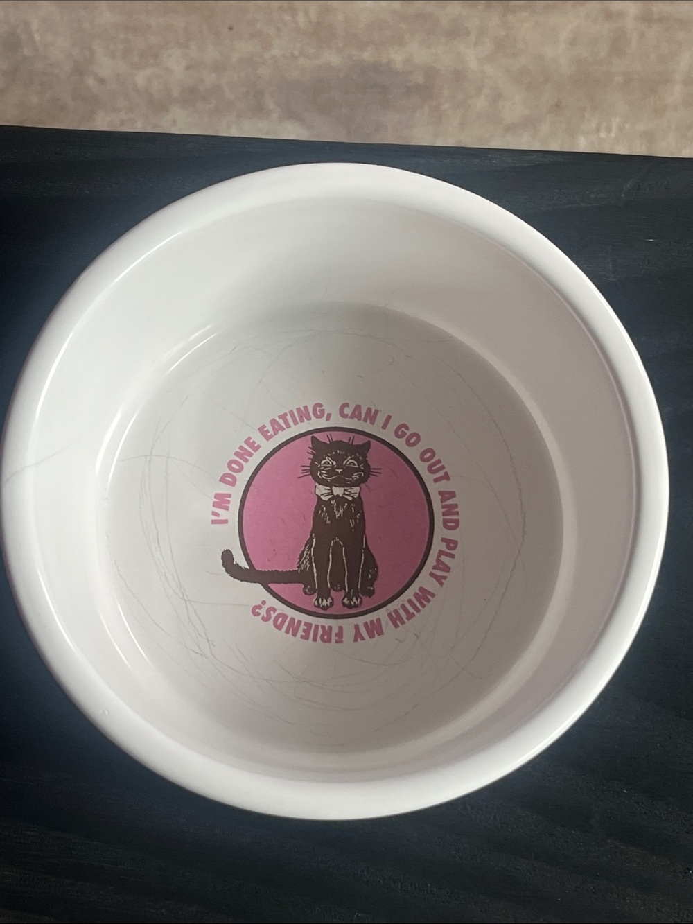 Vintage Cat Dish Food Water Bowl 6" Circle of Friends Rivera Van Beers Signature